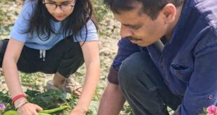 Male dominated society : महिला सम्मान और पुरुष प्रधान समाज