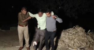 Ganja recovered : मुजफ्फरनगर में मुठभेड़, हिस्ट्रीशीटर गिरफ्तार; 21 किलो गांजा बरामद