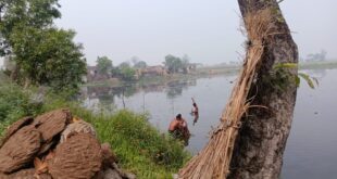 loss of revenue : लुधौरी गांव के तारा तालाब पर अवैध कब्जा, प्रशासन की उदासीनता से बढ़ता राजस्व का नुकसान