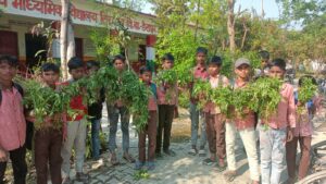 Organic Tomatoes : विद्यालय में नवाचार: हर बच्चा उगाए ऑर्गेनिक टमाटर