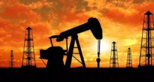 The effect of both : वैश्विक बाजार में कच्चे तेल की कीमतों में उतार-चढ़ाव, राजनीतिक बयानबाजी से तेजी और गिरावट दोनों का असर