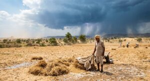 Damage to crops : राजस्थान मौसम अपडेट : चूरू में पारा 43 डिग्री पार, गर्मी और बारिश के बीच फसलों को नुकसान