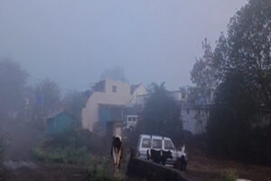 Rain and Fog : नासिक के सिन्नर में बदला मौसम का मिजाज, गर्मी की जगह बारिश और कोहरा