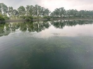 Ashok Buwaniwala : कागजों में हो रही पानी के टैंकों की सफाई, हकीकत में गंदगी से अटे पड़ेः अशोक बुवानीवाला