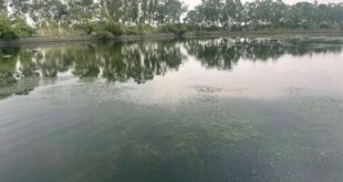 Ashok Buwaniwala : कागजों में हो रही पानी के टैंकों की सफाई, हकीकत में गंदगी से अटे पड़ेः अशोक बुवानीवाला