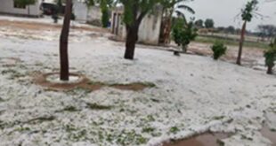 Nature's Rampage : राजस्थान में कुदरत का कोहराम : जयपुर में अंधड़ ने ली 2 जान, 29 जिलों में 'हाई अलर्ट', पारा 7 डिग्री धड़ाम