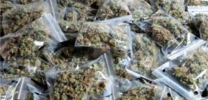 Concerns Raised Over Action : राधानगर में अवैध नशा कारोबार पर सवाल, युवाओं के भविष्य और पुलिस कार्रवाई पर उठी चिंता