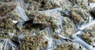 Concerns Raised Over Action : राधानगर में अवैध नशा कारोबार पर सवाल, युवाओं के भविष्य और पुलिस कार्रवाई पर उठी चिंता