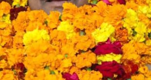 Historic Victory and Impact : लखनऊ बार एसोसिएशन चुनाव 2026 में जीएन शुक्ला की ऐतिहासिक जीत और प्रभाव