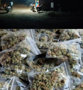 Questions on the Role : फतेहपुर में गांजा तस्करी का काला कारोबार, मिश्रा पर आरोपों से पुलिस की भूमिका पर सवाल