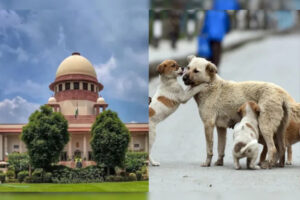 Petition dismissed : सुप्रीम कोर्ट से डॉग लवर्स को बड़ा झटका, पूर्व आदेश में बदलाव की मांग वाली याचिका खारिज