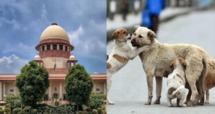 Petition dismissed : सुप्रीम कोर्ट से डॉग लवर्स को बड़ा झटका, पूर्व आदेश में बदलाव की मांग वाली याचिका खारिज