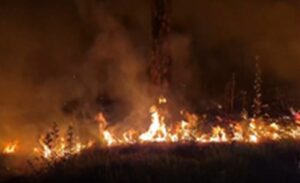 Chaos ensued : हिमाचल : ब्रिटिश काल के कब्रिस्तान और मेंटल हॉस्पिटल तक पहुंचीं आग की लपटें, शिमला में मची अफरा-तफरी