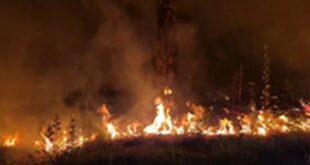 Chaos ensued : हिमाचल : ब्रिटिश काल के कब्रिस्तान और मेंटल हॉस्पिटल तक पहुंचीं आग की लपटें, शिमला में मची अफरा-तफरी