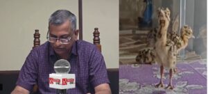 The Calls of the Great Indian Bustard : कूटनीतिक सफलता से पर्यावरण संरक्षण : डेज़र्ट नेशनल पार्क में AI तकनीक से गूंजी 'गोडावण' की किलकारियां