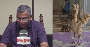 The Calls of the Great Indian Bustard : कूटनीतिक सफलता से पर्यावरण संरक्षण : डेज़र्ट नेशनल पार्क में AI तकनीक से गूंजी 'गोडावण' की किलकारियां