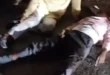 Death of a Young Man : जौनपुर के नेवढ़िया क्षेत्र में दर्दनाक सड़क हादसा, मुंबई जाने से पहले 18 वर्षीय युवक की मौत