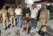 Gangster Sandeep Arrested : आगरा एसटीएफ की बड़ी कार्रवाई में 50 हजार का इनामी गैंगस्टर संदीप गिरफ्तार