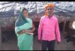 Continuous Allegations : बलरामपुर में आवास योजनाओं पर सवाल, गरीबों को मूलभूत सुविधाओं से वंचित होने का आरोप लगातार