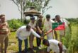 Diversity Park : गढ़मुक्तेश्वर के डायवर्सिटी पार्क में जैव विविधता दिवस पर गोष्ठी, पर्यावरण संरक्षण का दिया संदेश