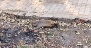 Kamadgiri Health Clinic : फतेहपुर असोथर में अवैध क्लिनिक पर गंभीर सवाल, बिना लाइसेंस चल रहा ‘कामदगिरि हेल्थ क्लिनिक’