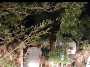 लड़की से बात करने पर चिढ़े नाबालिग दोस्त, जिगरी यार को रील बनाने जंगल ले गए, किडनैपिंग की एक्टिंग के बहाने कर दिया मर्डर