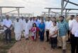 Electricity : अन्नदाता के ऊर्जादाता बनने का संकल्प हुआ साकार : सोलर पैनलों के नीचे लहलहा रही फसल- ऊपर पैदा हो रही बिजली