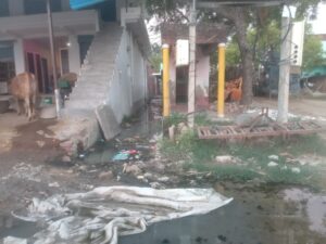 Sakarauha village submerged : भंवरा तालाब के ओवरफ्लो से सकरौहा गांव जलमग्न, नाला निर्माण की मांग तेज हुई 