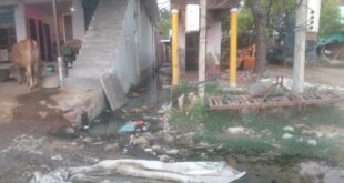 Sakarauha village submerged : भंवरा तालाब के ओवरफ्लो से सकरौहा गांव जलमग्न, नाला निर्माण की मांग तेज हुई 