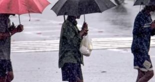 Storm and Rain Alert Issued : उत्तर प्रदेश में मौसम का उतार-चढ़ाव जारी, 20 जिलों में आंधी-बारिश का अलर्ट जारी