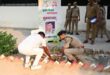 Powerful message : 'एक पेड़ मां के नाम' अभियान के तहत पुलिस लाइन में हुआ भव्य वृक्षारोपण, पर्यावरण संरक्षण का दिया गया सशक्त संदेश