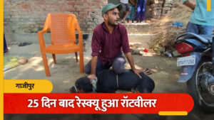 Starving Rottweiler Dog Rescue : गाजीपुर में फरार गैंग सरगना के घर से भूखा रॉटविलर डॉग रेस्क्यू