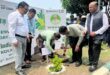 Plastic Eradication : विश्व पर्यावरण दिवस पर कलेक्ट्रेट परिसर में वृक्षारोपण कार्यक्रम का आयोजन, प्लास्टिक उन्मूलन पर जोर