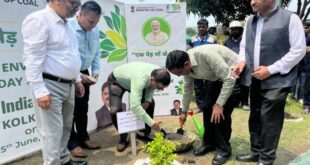 Plastic Eradication : विश्व पर्यावरण दिवस पर कलेक्ट्रेट परिसर में वृक्षारोपण कार्यक्रम का आयोजन, प्लास्टिक उन्मूलन पर जोर