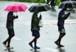 Humid heat ends : उत्तर प्रदेश में उमस-गर्मी खत्म होने के आसार, मानसून जल्द सक्रिय होने की उम्मीद
