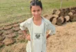 Serious questions : बुलंदशहर में भारी बारिश के दौरान खुले नाले में गिरी छात्रा, रेस्क्यू अभियान जारी, सुरक्षा व्यवस्था पर उठे गंभीर सवाल
