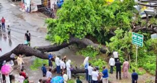 Increased trouble : उत्तर प्रदेश में मानसून का कहर, बारिश जनित हादसों में 14 मौतें और कई जिलों में बढ़ी परेशानी