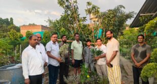 Set an example : लाल बहादुर शास्त्री चौक का सौंदर्यीकरण: पर्यावरण संरक्षण के लिए डॉ अनुराग श्रीवास्तव की प्रेरक हरित पहल बनी मिसाल ?
