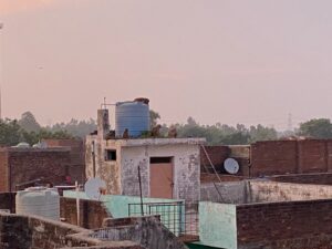 The Monkey Menace : जनपद बिजनौर के ग्राम हुसैनपुर में बंदरों का आतंक, ग्रामीणों में भय का माहौल