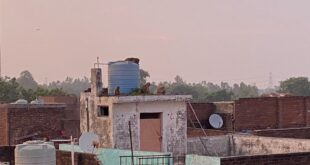The Monkey Menace : जनपद बिजनौर के ग्राम हुसैनपुर में बंदरों का आतंक, ग्रामीणों में भय का माहौल