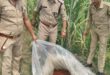 Wash destroyed : हापुड़ आबकारी विभाग की बड़ी कार्रवाई, चकलठीरा जंगल से 90 लीटर कच्ची शराब और 800 किलो लहन नष्ट