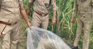 Wash destroyed : हापुड़ आबकारी विभाग की बड़ी कार्रवाई, चकलठीरा जंगल से 90 लीटर कच्ची शराब और 800 किलो लहन नष्ट