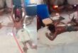 Food Officer : नोएडा फैक्ट्री में पैरों से कुचलकर सोया चाप बनाने का वीडियो वायरल, जांच में जुटे खाद्य अधिकारी