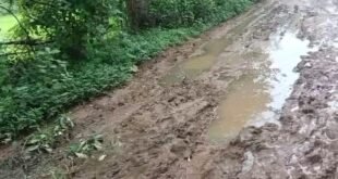 Difficulties mounted : सड़क के अभाव में ग्रामीण परेशान, चार-पांच वर्षों से निर्माण नहीं होने से आवागमन में बढ़ी मुश्किलें ?