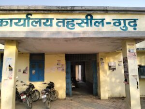 Duari Circle : गुढ़ तहसील के दुआरी सर्किल में शासकीय भूमि अतिक्रमण पर उठे सवाल, कार्रवाई की मांग तेज हुई ?