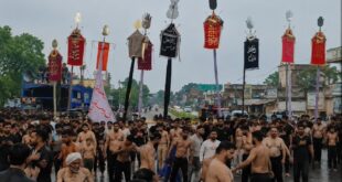 Cries and Mourning : बिजनौर के हुसैनपुर में चेहलुम पर उमड़ा अकीदतमंदों का जनसैलाब, गूंजीं या हुसैन की सदाएं और मातम ?