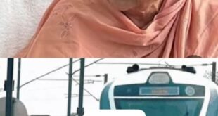 A youth detained : सूरत में वंदे भारत एक्सप्रेस पर पथराव, यूपी की राज्यपाल आनंदीबेन पटेल थीं सवार, एक युवक हिरासत में ?