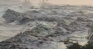 The embankment breached : कुशीनगर में नारायणी नदी का तटबंध टूटा, कई गांवों में घुसा पानी, सीएम योगी ने राहत बचाव कार्य के दिए निर्देश ?