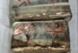 Silver recovered : रिश्वत लेते पकड़े गए सहायक अभियंता के घर से 43.38 लाख रुपये नकद और 20 किलो चांदी बरामद ?