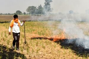 Fine in rupees : पंजाब में पराली जलाने के 27 मामले दर्ज, पटियाला में एक केस पर 5 हजार रुपये जुर्माना ?